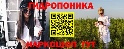прущие грибы Можга